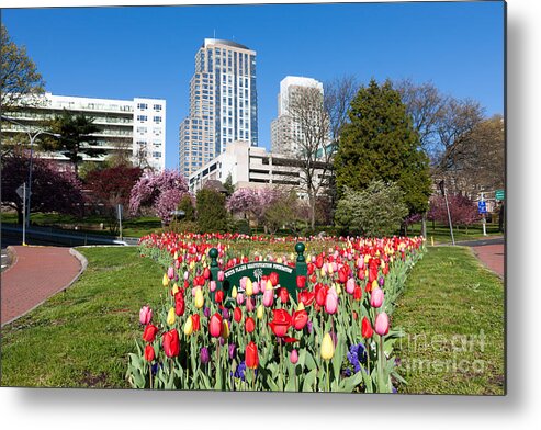 Clarence Holmes Metal Print featuring the photograph White Plains Beautification Foundation Garden by Clarence Holmes