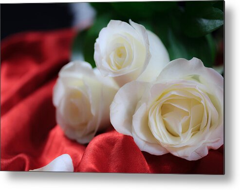 Flowers Metal Print featuring the photograph White Roses on Red Satin by Joni Eskridge