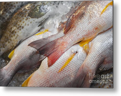 Thai Metal Print featuring the photograph White snapper fish by Sophie McAulay