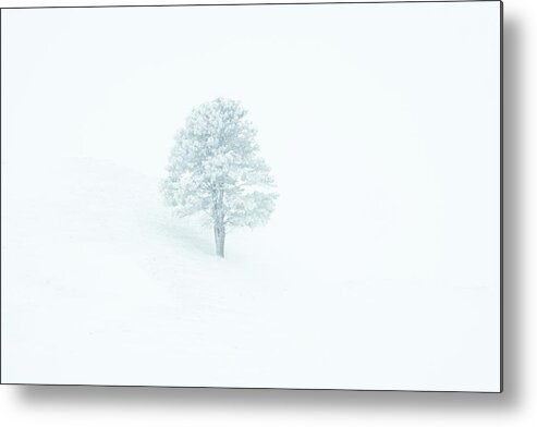 Whiteout Metal Print featuring the photograph Whiteout by Fiskr Larsen