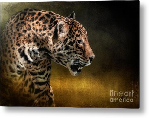 Jaguar Metal Print featuring the photograph Who Goes There by Lois Bryan