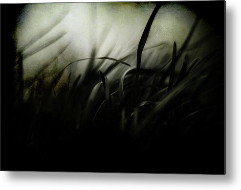 Dark Metal Print featuring the photograph Wicked Garden by Rebecca Sherman