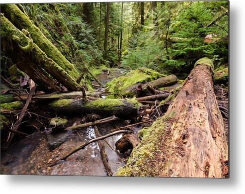 Oregon Metal Print featuring the photograph Wild River Views by Margaret Pitcher