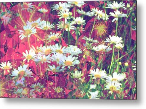Daisies Metal Print featuring the digital art Wild White Painted Daisies by Clive Littin