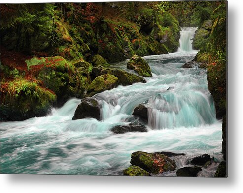 Jenny Rainbow Fine Art Photography Metal Print featuring the photograph Wilderness by Jenny Rainbow