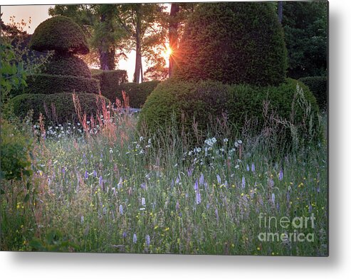 Sunset Metal Print featuring the photograph Wildflower Meadow at Sunset, Great Dixter by Perry Rodriguez
