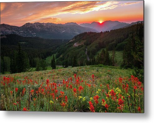 Summer Metal Print featuring the photograph Wildflowers at Guardsmans Pass by Wasatch Light