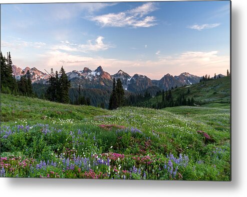 Alpine Metal Print featuring the photograph Wildflowers at Paradise by Michael Russell