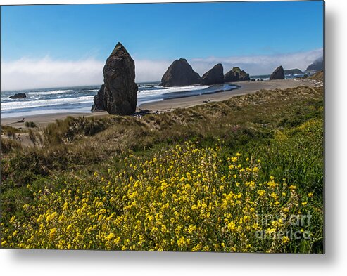 Oregon Metal Print featuring the photograph Wildflowers Meet Southern Oregon Coastline by Willie Harper