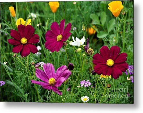 Wildflowers Metal Print featuring the photograph Wildflowers by Merle Grenz