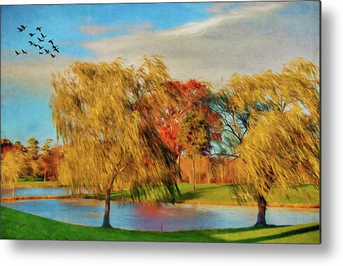 Willows Metal Print featuring the photograph Willows In Autumn by Cathy Kovarik