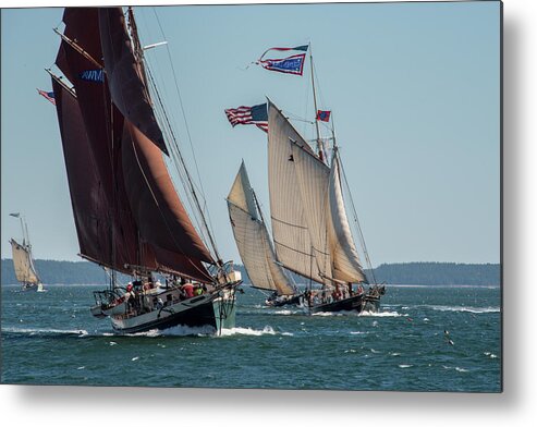  Boat Metal Print featuring the photograph Windjammer Race 2 by Fred LeBlanc