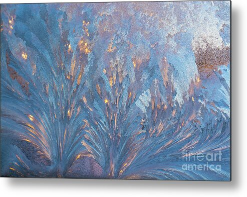 Cheryl Baxter Photography Metal Print featuring the photograph Window Frost At Sunset by Cheryl Baxter