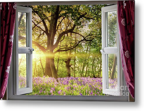 Window Metal Print featuring the photograph Window open onto bluebell forest sunrise by Simon Bratt