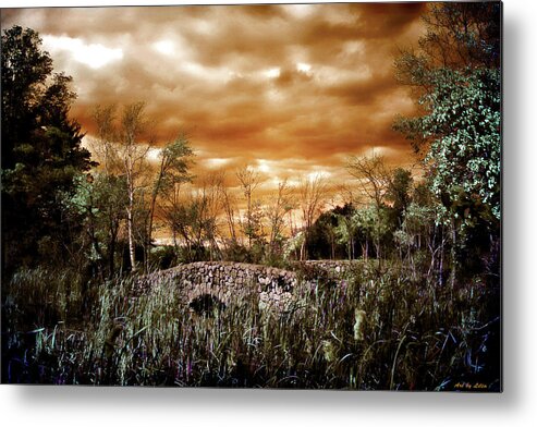 Moody Landscape Metal Print featuring the digital art Windy and Moody by Lilia S