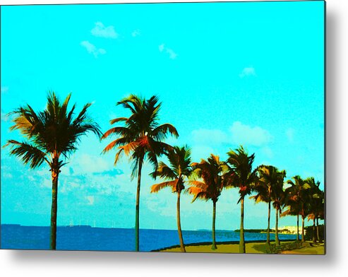 Windy Metal Print featuring the photograph Windy Day on N Roosevelt Bld Key West by Susan Vineyard