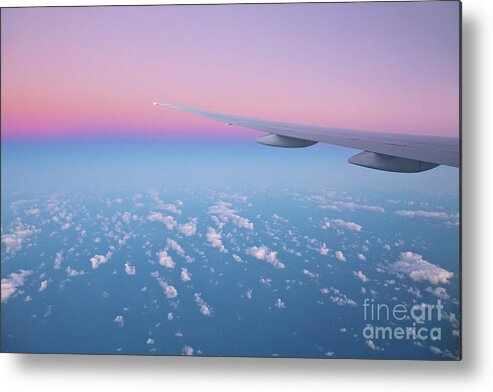 00559249 Metal Print featuring the photograph Wings over the Ocean by Yva Momatiuk and John Eastcott