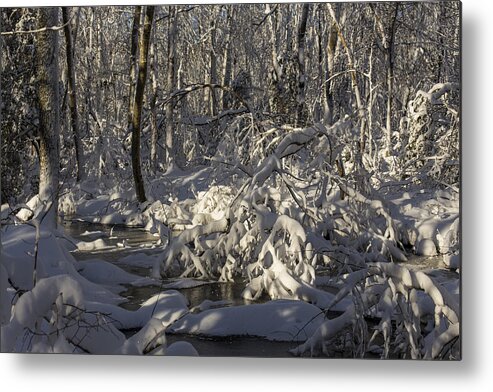 Andrew Pacheco Metal Print featuring the photograph Winter at Borden Brook by Andrew Pacheco