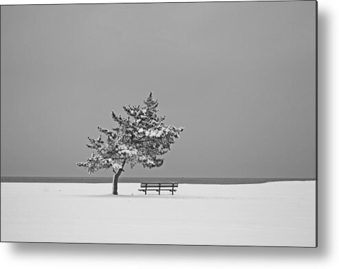Winter Metal Print featuring the photograph Winter At The Beach by Karol Livote