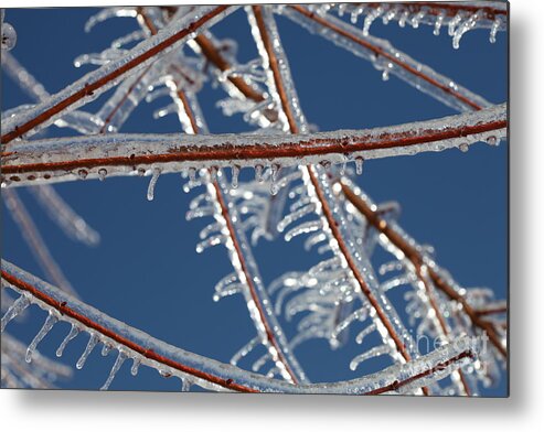 Winter Metal Print featuring the photograph Winter Blue by Nadine Rippelmeyer