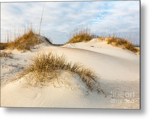 Fort Macon State Park Metal Print featuring the photograph Winter Dunes by Paul Malcolm