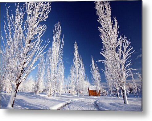 Winter Metal Print featuring the photograph Winter Landscape by Wesley Aston