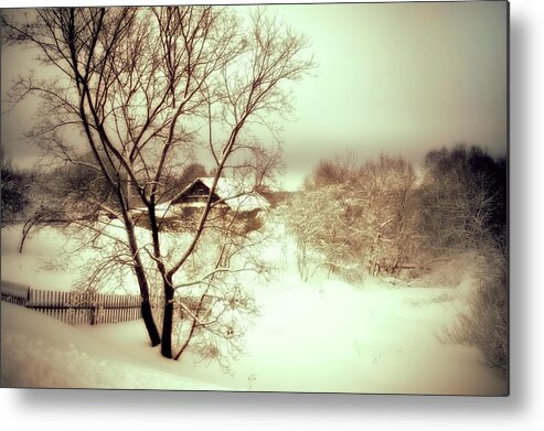 Winter Metal Print featuring the photograph Winter Loneliness by Jenny Rainbow