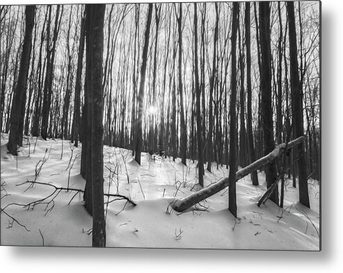 Winter Metal Print featuring the photograph Winter Morning Dream by Angelo Marcialis