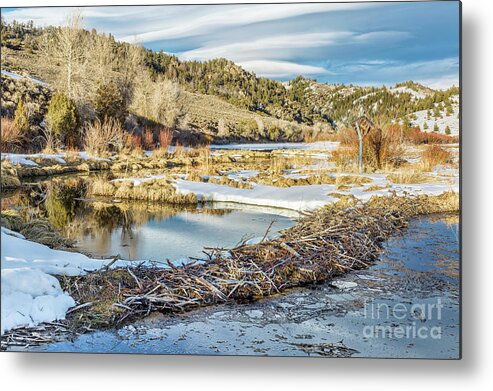 Colorado Metal Print featuring the photograph Winter On Beaver Swamp by Marek Uliasz