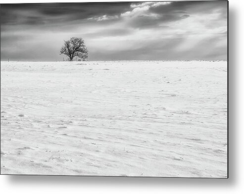 Sky Metal Print featuring the photograph Winter by Plamen Petkov