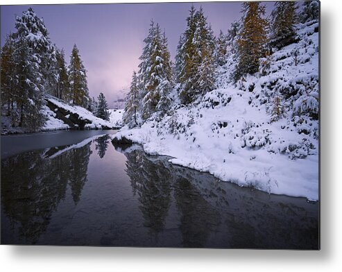 Sunset Metal Print featuring the photograph Winter Reverie by Dominique Dubied
