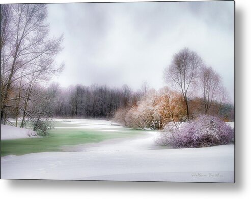 Landscapes Metal Print featuring the photograph Winter Solace by William Beuther