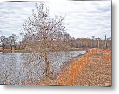 Pond Metal Print featuring the photograph Winter Tree on Pond Shore by Gina O'Brien
