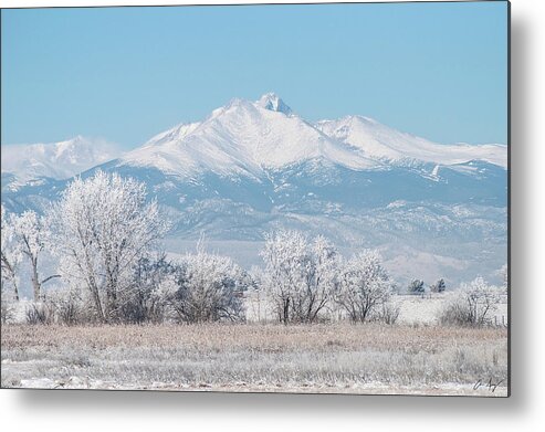 Winter Metal Print featuring the photograph Winter Trees and Longs Peak by Aaron Spong