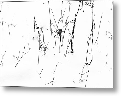 Twig Metal Print featuring the photograph Winter Twigs 2 High Contrast by Mary Bedy