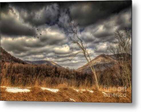 Winter Metal Print featuring the photograph Winter Waves Goodbye by Lois Bryan