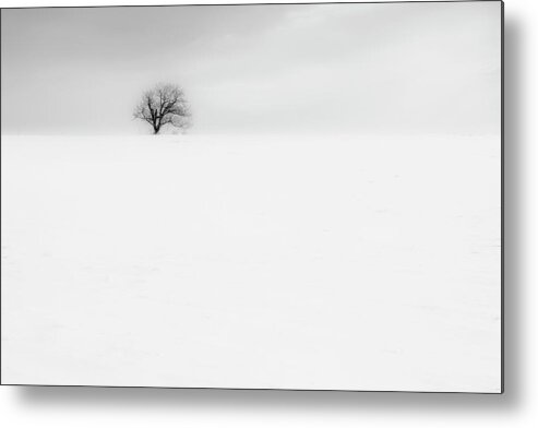 Winter Metal Print featuring the photograph Minimalism by Plamen Petkov
