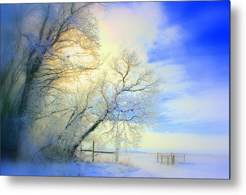 Snowy Sunday Metal Print featuring the photograph Winters Pretty Presents by Julie Lueders 
