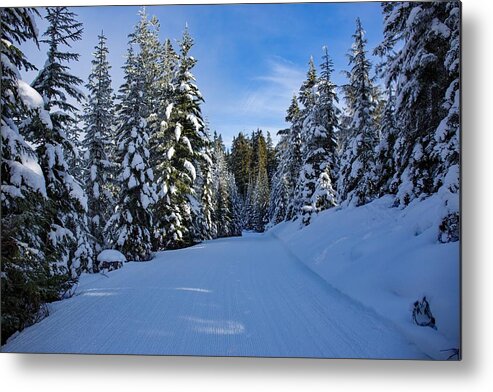 Wintertime 2 Metal Print featuring the photograph Wintertime 2 by Lynn Hopwood