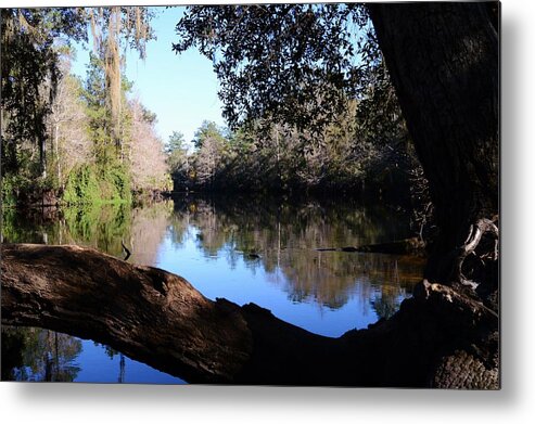 Withlacoochee Overlook Metal Print featuring the photograph Withlacoochee Overlook by Warren Thompson