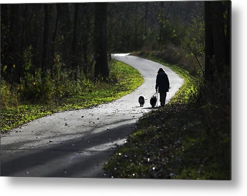 People Metal Print featuring the photograph Woman and Border Collies by David Ralph Johnson