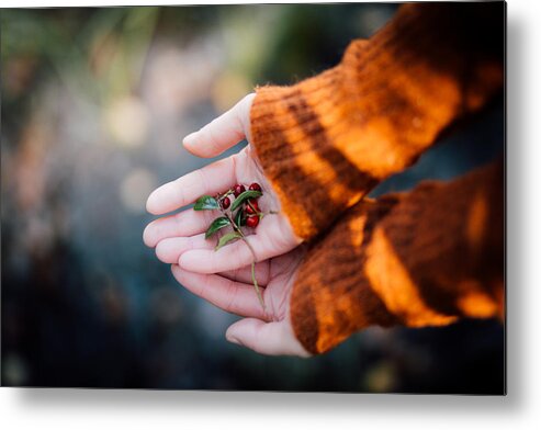 Woman Metal Print featuring the photograph Woman hands holding cranberries by Aldona Pivoriene