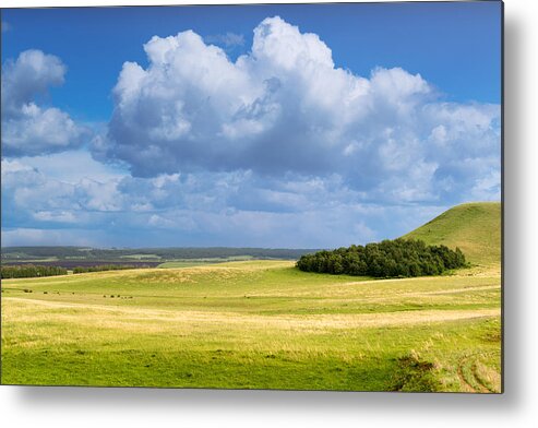 Wood Copse On Hill Metal Print featuring the photograph Wood Copse on a Hill by John Williams