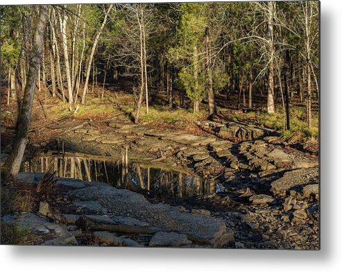 Landscape Metal Print featuring the photograph Wooded Backwash by John Benedict