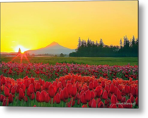 Landscape Metal Print featuring the photograph Wooden Shoe Tulip Fields Sunrise by Steve Warnstaff
