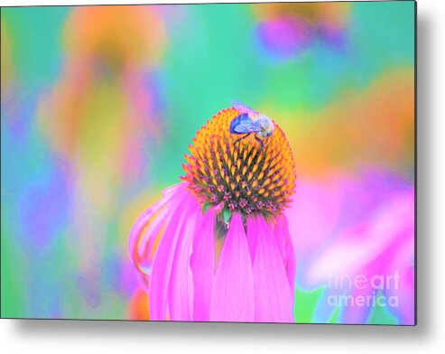 Flowers Metal Print featuring the photograph Working it by Merle Grenz