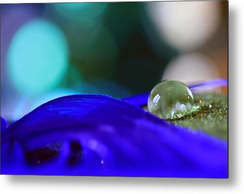 Macro Metal Print featuring the photograph Yellow and Blue Macro by Angela Murdock