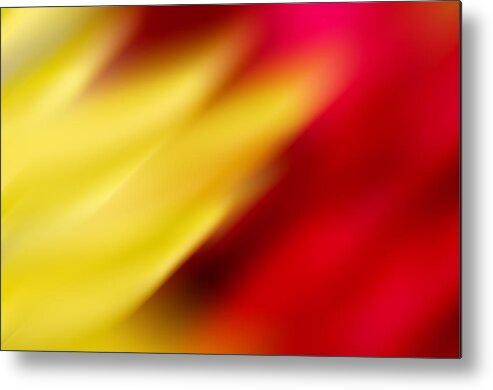 Yellow Metal Print featuring the photograph Yellow and Red by Crystal Wightman