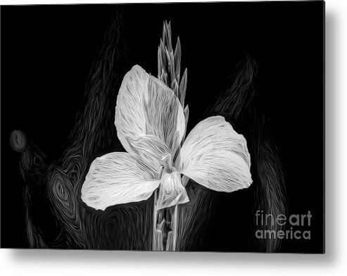Summer Metal Print featuring the digital art Yellow black and white by Ed Taylor