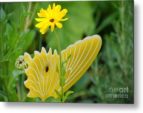 Butterfly Metal Print featuring the photograph Yellow Butterfly by Merle Grenz